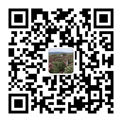 百里杜鹃管委会公众号二维码