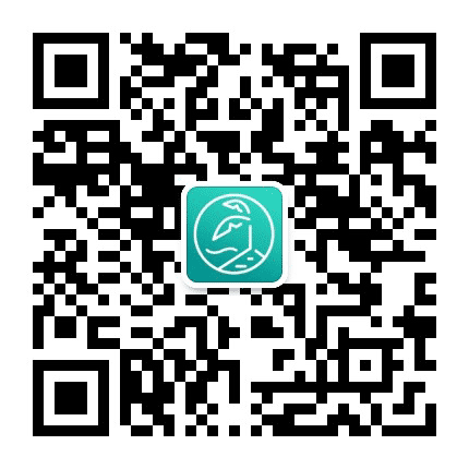棕榈大道艺术留学公众号二维码