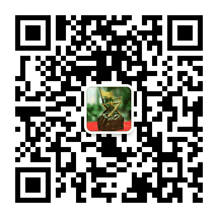 北京电影学院导演系公众号二维码