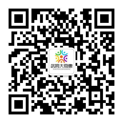 武鸣大商惠公众号二维码
