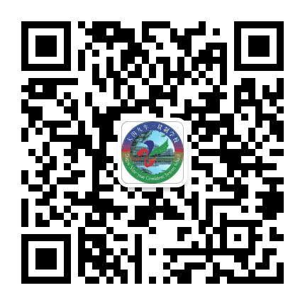 大沟学校公众号二维码