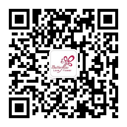龙安寨蝶恋花公众号二维码