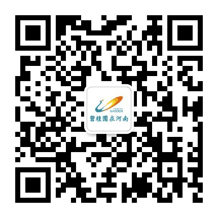 碧桂园在河南公众号二维码