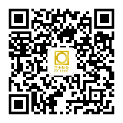 襄阳正大农业开发有限公司公众号二维码