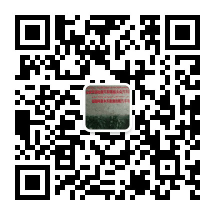 新疆旅游出租汽车集团大众公司公众号二维码
