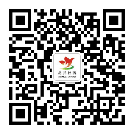 花开杜鹃公众号二维码