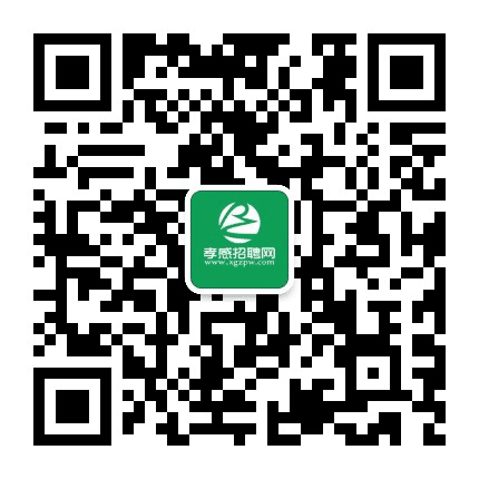 孝感直聘公众号二维码