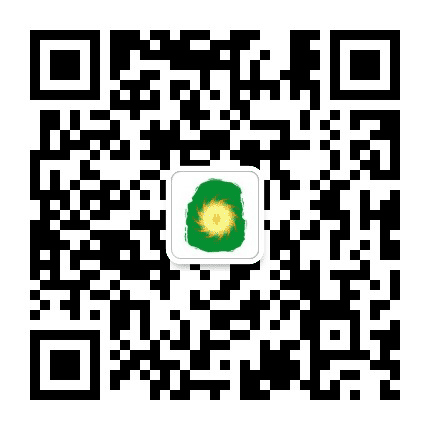 河洛系公众号二维码