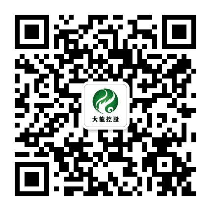 大龙控股公众号二维码