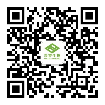 黄沙珍宝公众号二维码