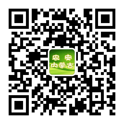 农安内蒙古公众号二维码