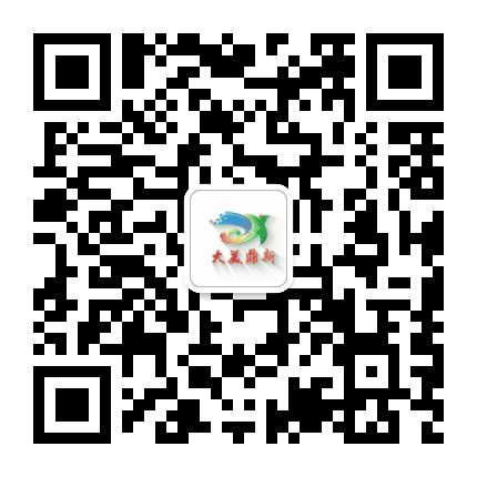 大美鼎新公众号二维码