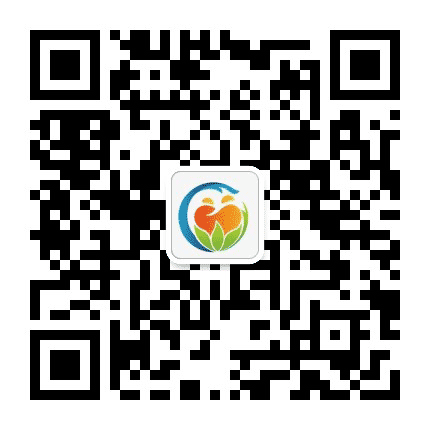 槐荫社工满天星项目组公众号二维码