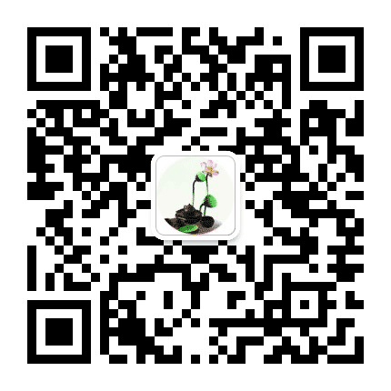 养心道公众号二维码