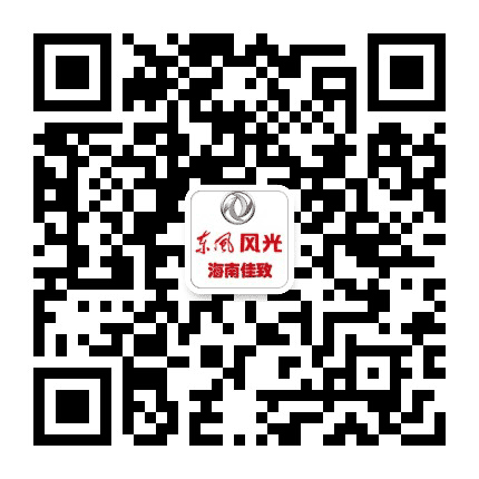 海南佳致东风风光公众号二维码