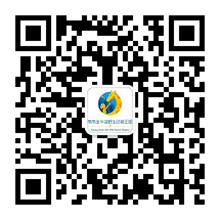 南京金牛湖野生动物王国公众号二维码