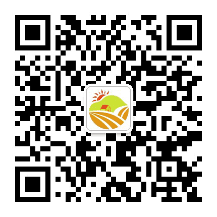 网罗泾彩公众号二维码