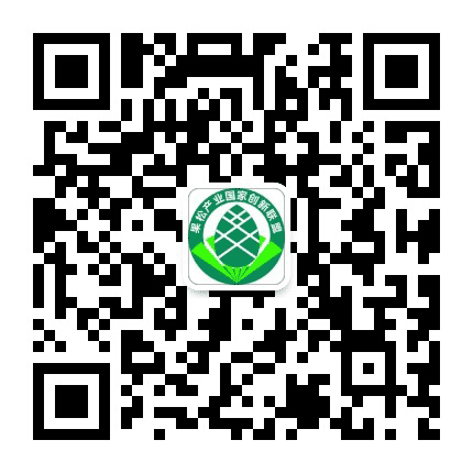 果松产业创新联盟公众号二维码