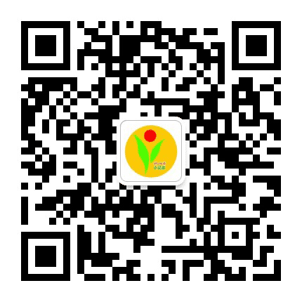 柳州晚报小记者公众号二维码