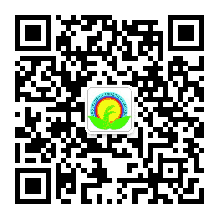 周口市纺织路小学公众号公众号二维码