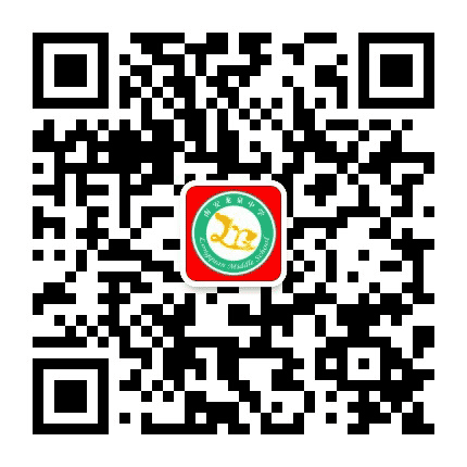 福建省南安市龙泉中学公众号二维码