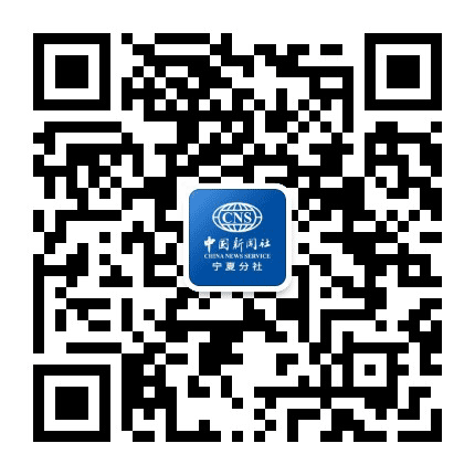 中新宁夏公众号二维码
