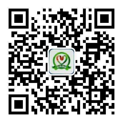 丹东民族公众号二维码