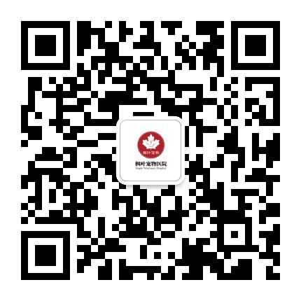 枫叶宠物医院公众号二维码