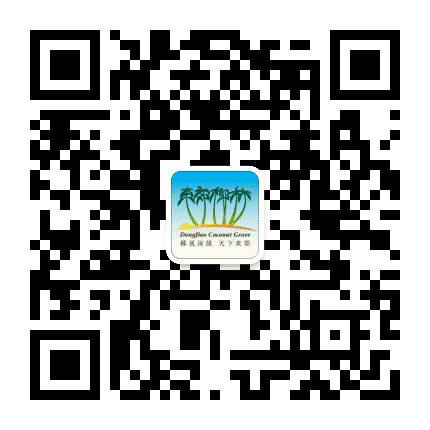 文昌市东郊镇人民政府公众号二维码