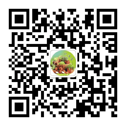 舌尖上的抚宁公众号二维码