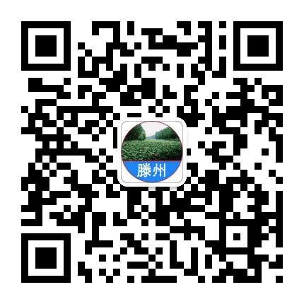 滕州号公众号二维码