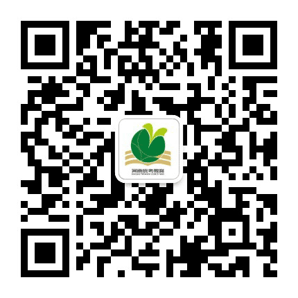 河南优考教育公众号二维码