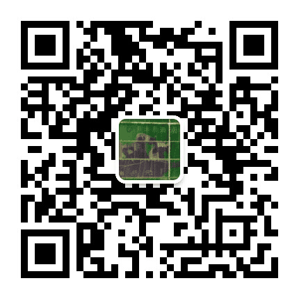 印象黄湾公众号二维码