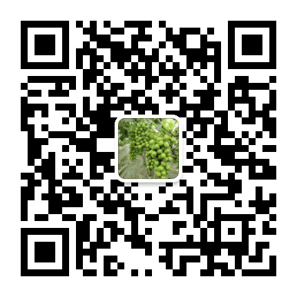 东西湖葡萄公众号二维码