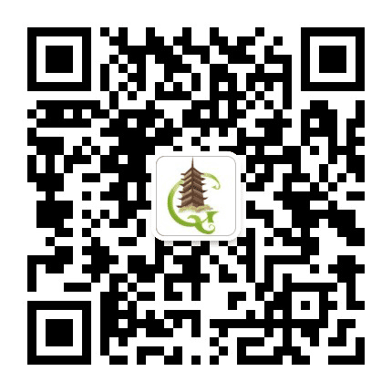 虞城生活向导公众号二维码