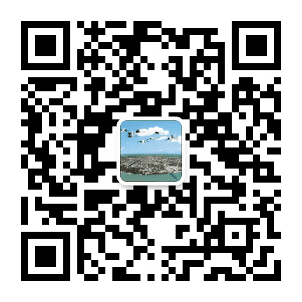 富拉尔基营商公众号二维码
