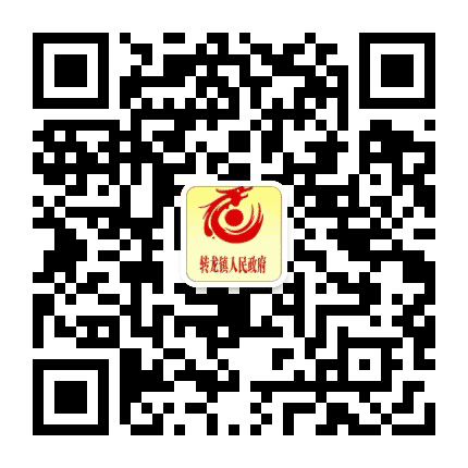 转龙政务公众号二维码