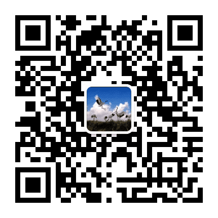 科技白城公众号二维码