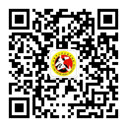 大兴区武术协会公众号二维码