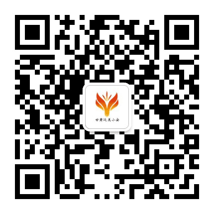 甘肃泛美小安公众号二维码