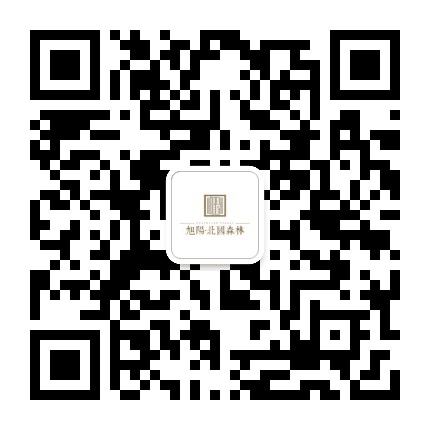 旭阳北国森林公众号二维码