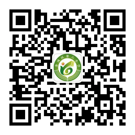 金凤区第六小学公众号二维码