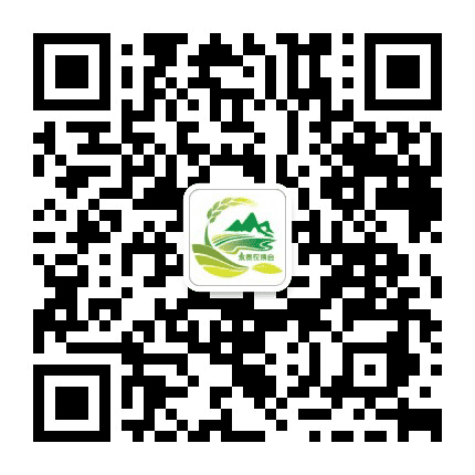 永泰农博会公众号二维码