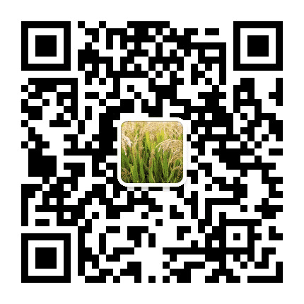 松原市粮食局公众号二维码