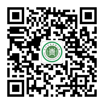 汉中市青年路小学公众号二维码