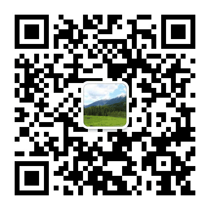 松原创森公众号二维码