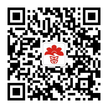 中山市石岐中心小学公众号二维码