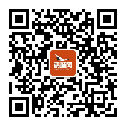 鹤城网公众号二维码