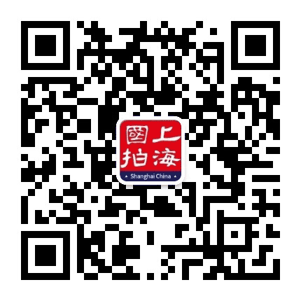 上海国拍电子商务公众号二维码