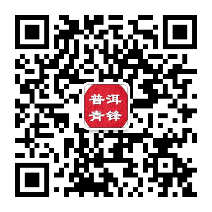 普洱市青锋公众号二维码